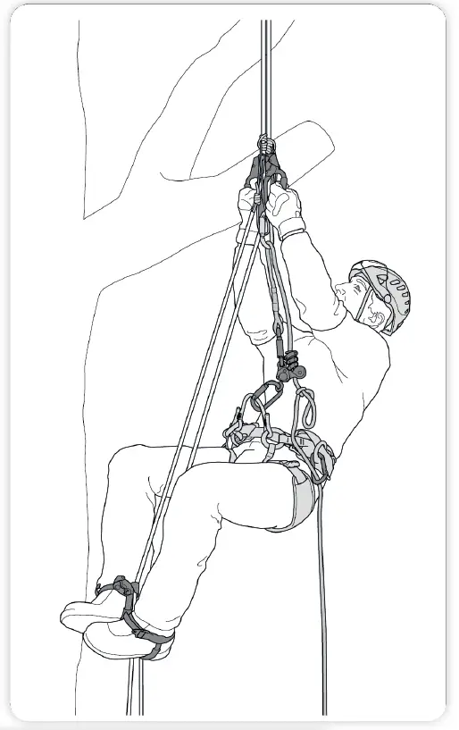 PETZL-ASCENTREE-Double-Handled-Rope-Clamp-for-Tree-Care-FIG-7