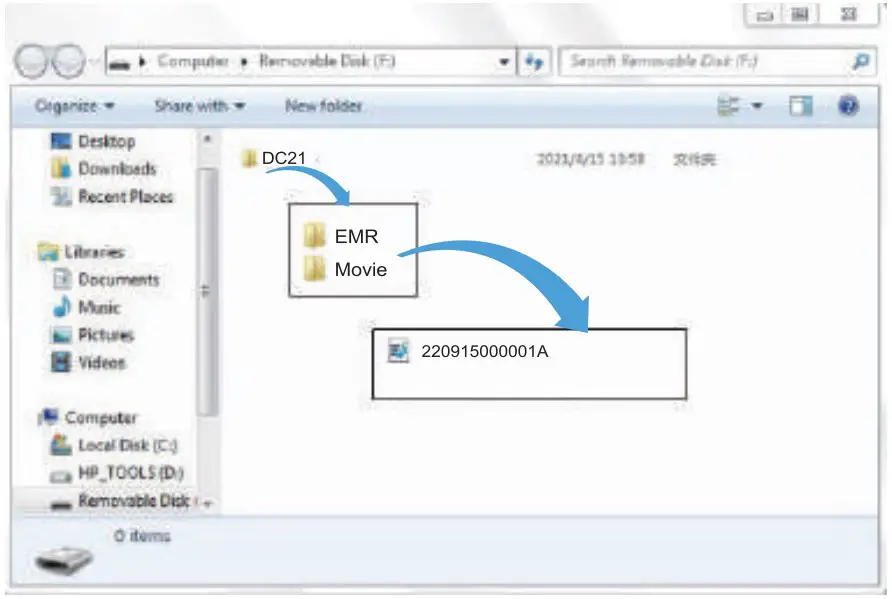 Files Identification