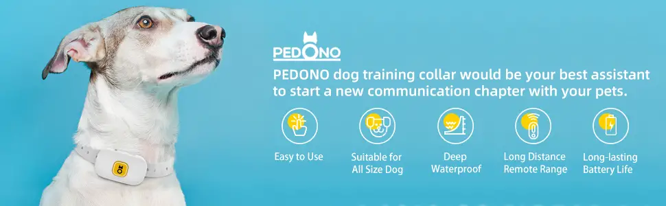 Pedono Dog-200s Dog Training Collar User Manual