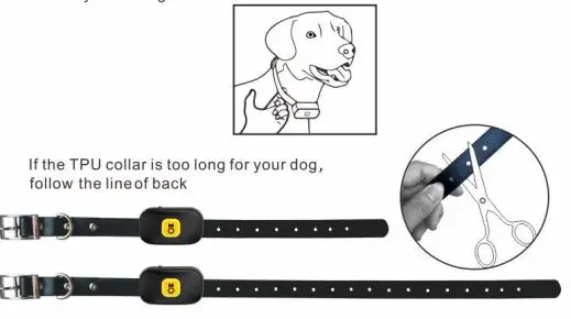 PEDONO DOG-200S Dog Training Collar fig8