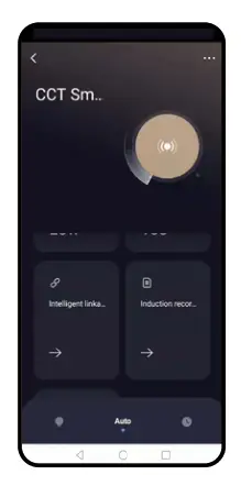 home zone ES00931G Smart Auto CCT Triple Head Security Flood Light - Auto Page