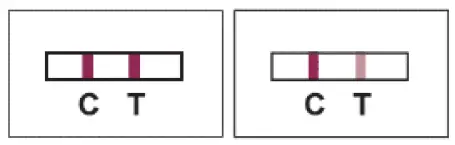 GenBody COVID-19 Ag Rapid Antigen Test (POC) fig 9