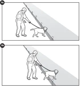 PetSafe PIF00-12917 Stay & Play™ Compact Wireless Fence - Day 1