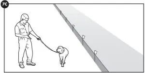 PetSafe PIF00-12917 Stay & Play™ Compact Wireless Fence - Day 2