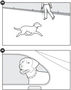 PetSafe PIF00-12917 Stay & Play™ Compact Wireless Fence -Days 9