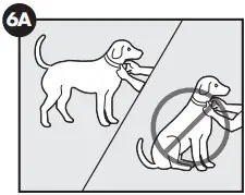 PetSafe PIF00-12917 Stay & Play™ Compact Wireless Fence - proper fit
