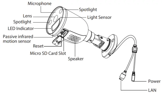 Physical Description
