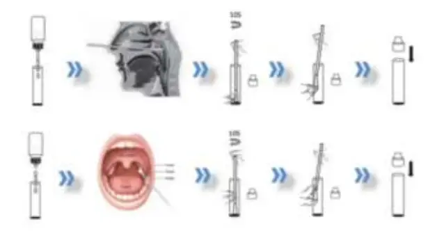 eDiagnosis COVID 19 SARS CoV 2 Antigen Test Kit - fig