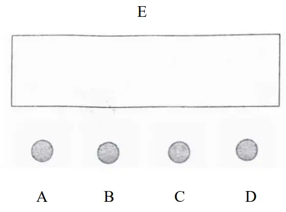 SHEHDS SHE RCFP9130C Non Remote Control LED Flat Par 9x10W 30W RGB Lighting Stage-fig2