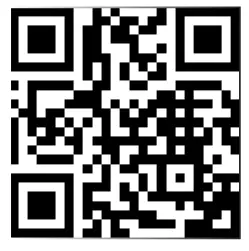 Arylic Wireless Streaming Amplifier Board - WEB