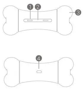 FIG 2 Diagram of Wickedbone