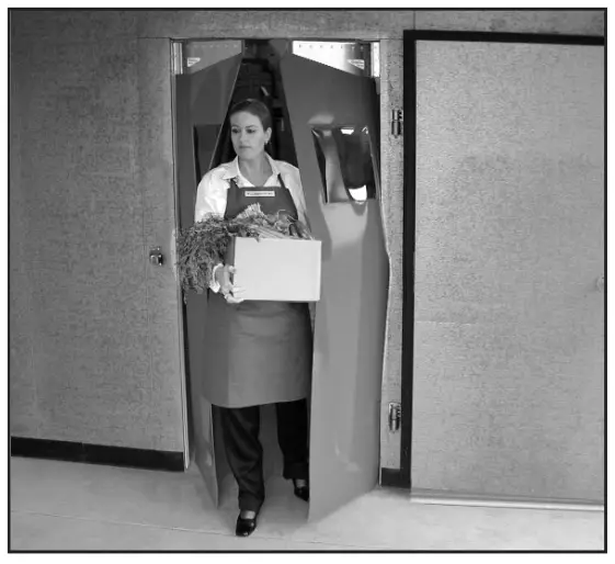 TMI POLAR PRO 30Inch Wide x 78Inch High Swinging Doors I