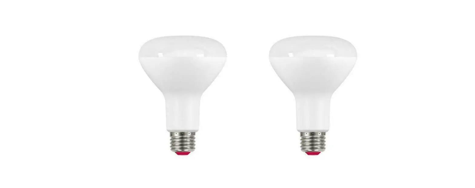 Ecosmart 11br3065wrgbwh1 Wireless Controlled Br30 Smart Bulb User Manual Ecosmart 11br3065wrgbwh1 Wireless Controlled Br30 Smart Bulb User Manual