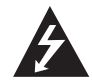 Warning risk of electric shock icon