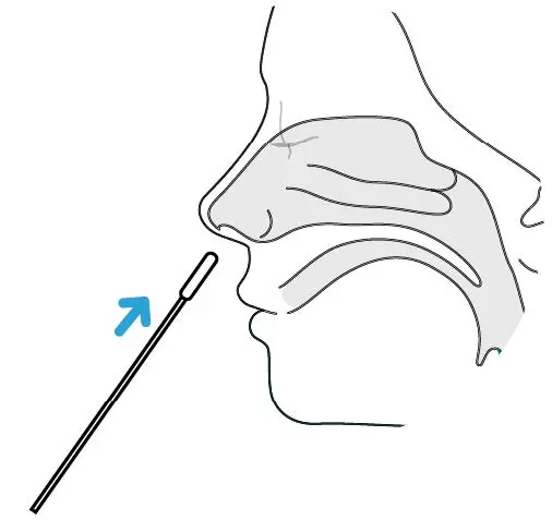 10LUNGENU-COVID-19-and-Influenza-Rapid-Antigen-Testing-Kit-15