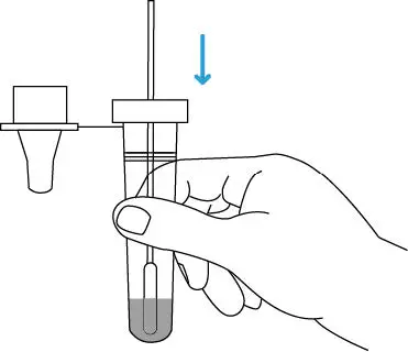 10LUNGENU-COVID-19-and-Influenza-Rapid-Antigen-Testing-Kit-19
