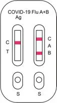 10LUNGENU-COVID-19-and-Influenza-Rapid-Antigen-Testing-Kit-34