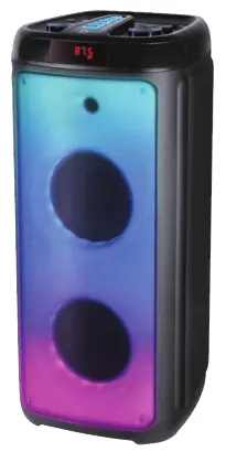 defender Boomer 60 Portable Speaker