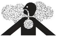 KOHLER Command Pro CH245-Safety Precautions