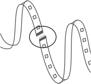 81863U ERIA - Step 1