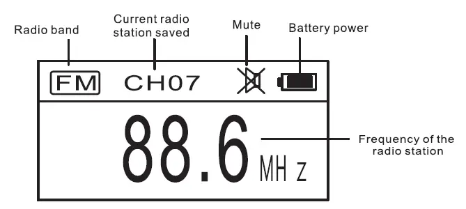 Displaying on the Radio Screen
