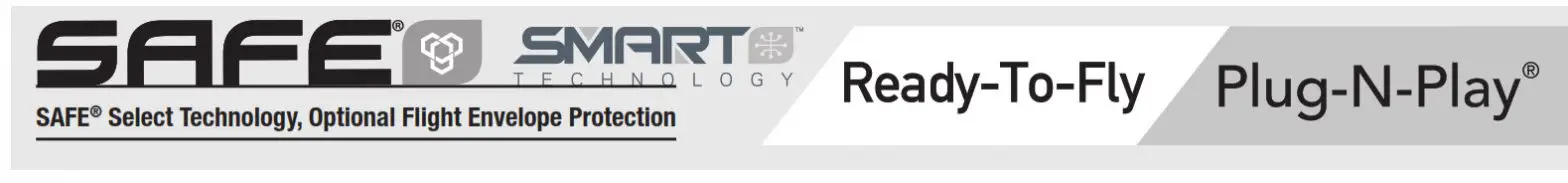 HORIZON HOBBY Habu Sts - Ready to Fly