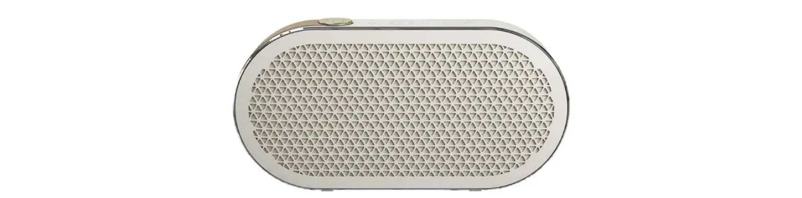 Dali Katch G2 Wireless Bluetooth Speaker User Manual