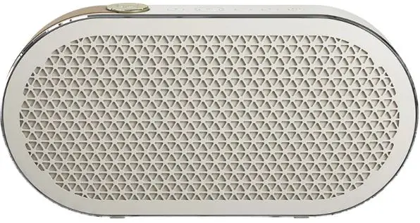 DALI-KATCH-G2-Wireless-Bluetooth-Speaker-product