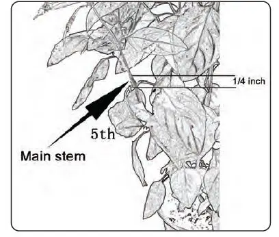 serenelife SLGLF150 Smart Indoor Herb Garden with LED Grow Lights Panel 23