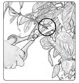 serenelife SLGLF150 Smart Indoor Herb Garden with LED Grow Lights Panel 24