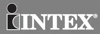 intex-logo