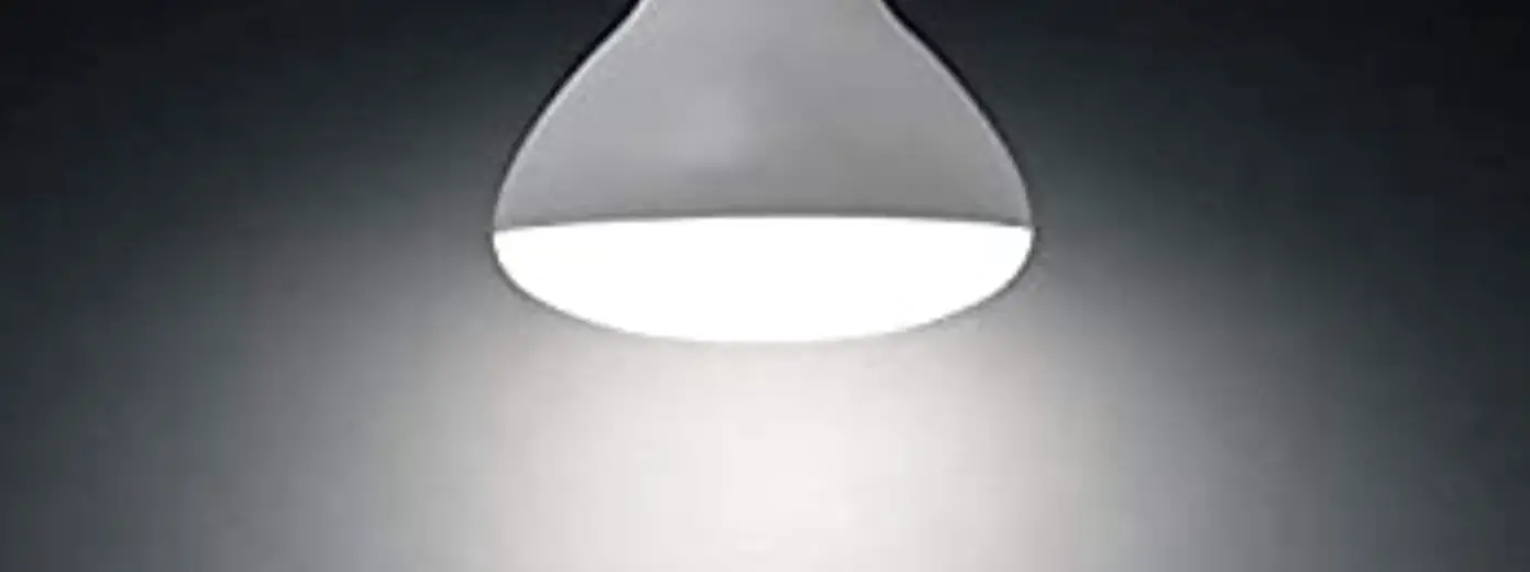 Lediary Dp2011 12-pack Br30 Led Recessed Light Bulbs User Manual Lediary Dp2011 12-pack Br30 Led Recessed Light Bulbs User Manual