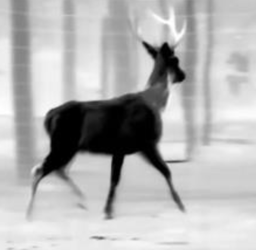 Guide Sensmart IR-TK451 Handheld Thermal Imaging Monocular - Fig