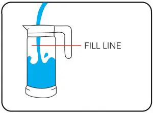 Fill carafe with water