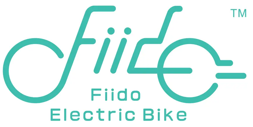 Fiido D12 Electric Bike