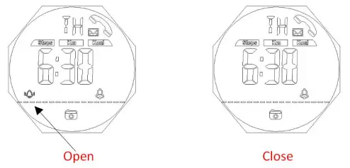 SKMEI 1542 Smart Watch-Remarks