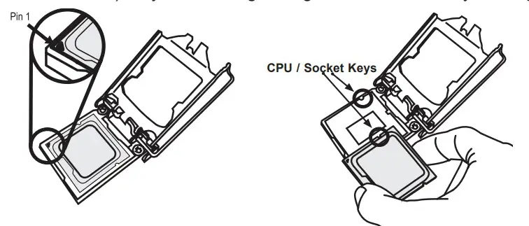 CPU and Heat Sink Installation