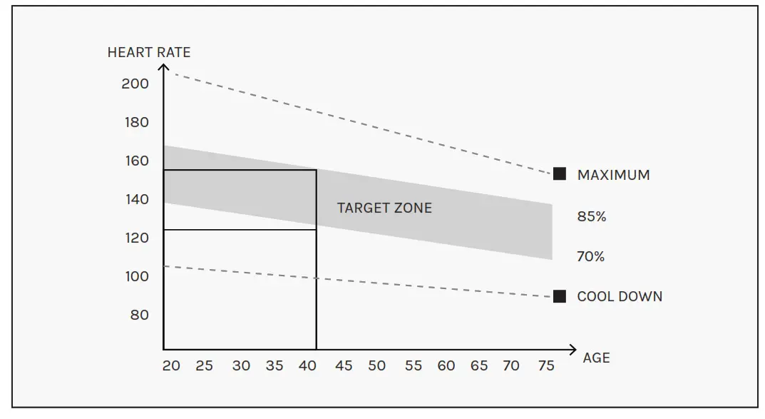 LSG RB-2 Recumbent Bike -WORKOUT