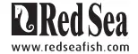 RedSea Logo