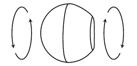 MAXSA-40230-Motion-Activated-LED-Outdoor-Light-6