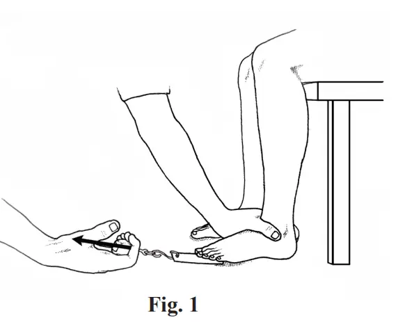 Human Locomotion Toe Strength Dyna mometer 1