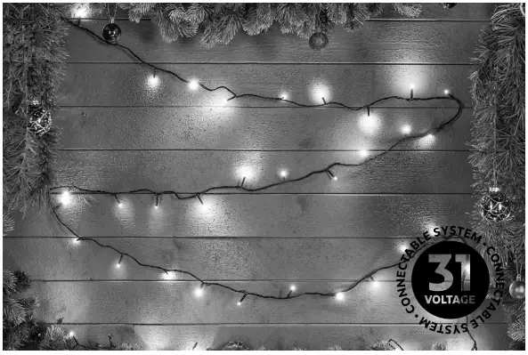 EKVIP 022433 String Lights-FIG1