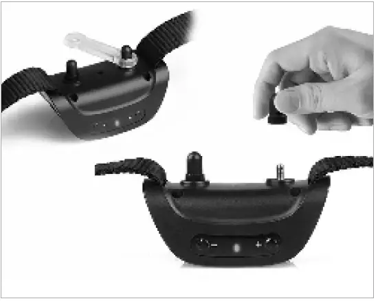 STREAX-SP165-Anti-Bark-Collar-FIG-5