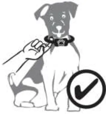 STREAX-SP165-Anti-Bark-Collar-FIG-6