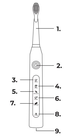 lifegoods LG975 Electric Toothbrush - Product Features