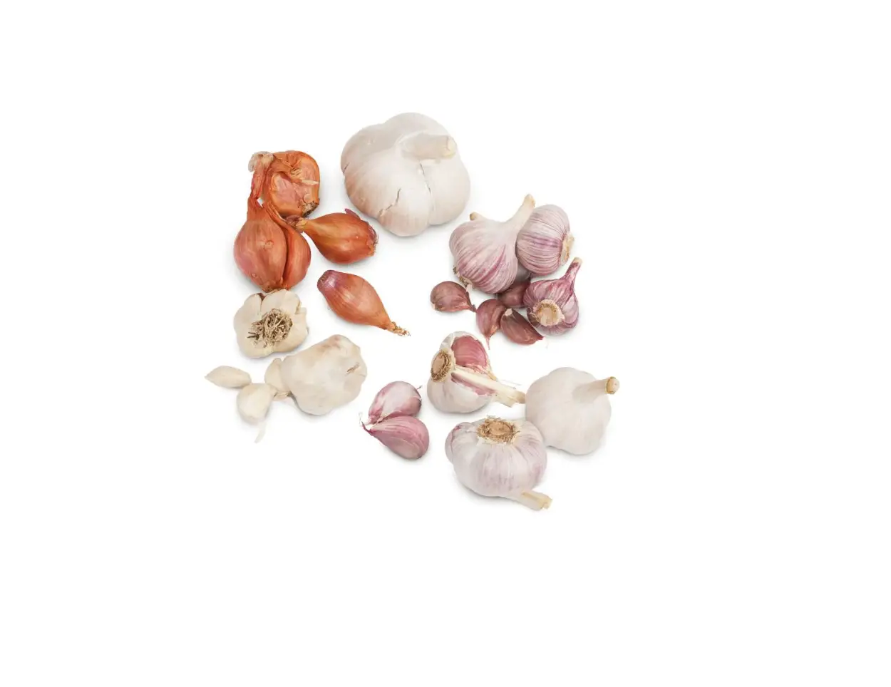 Peaceful Valley Garlic Combo Pack User Guide Peaceful Valley Garlic Combo Pack User Guide