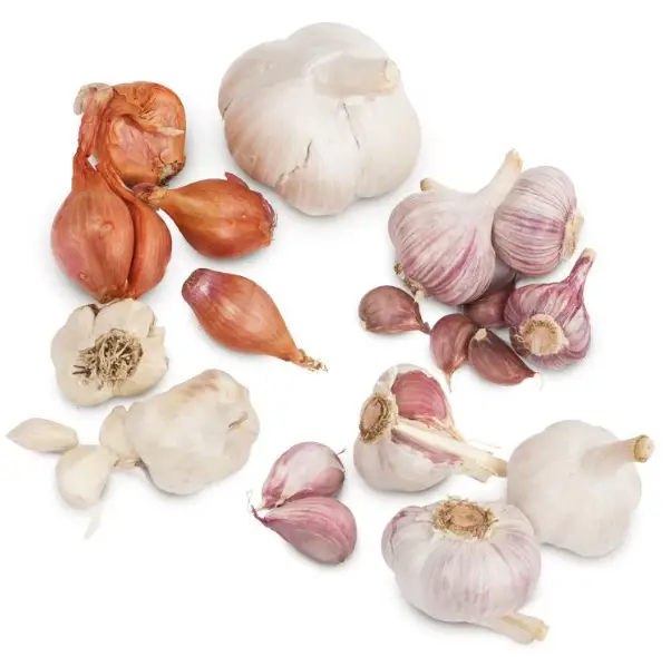 Peaceful-Valley-Garlic-Combo-PRODUCT