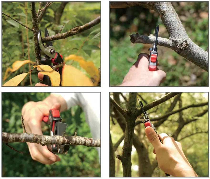 EDEN 39000EDAMZ Anvil Pruning Shears - cutting diameter1