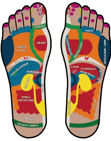 Vytaliving-BE686-Circulation-Maxx-Reflexology-Platinum-Pack-FIG-3