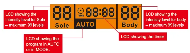 Vytaliving-BE686-Circulation-Maxx-Reflexology-Platinum-Pack-FIG-4